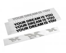 YOUR DREAM IS YOU